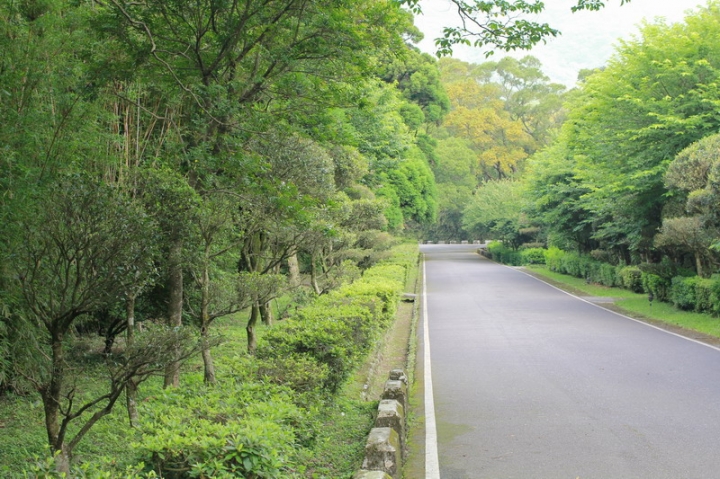 終於來到傳說中的陽明山屋