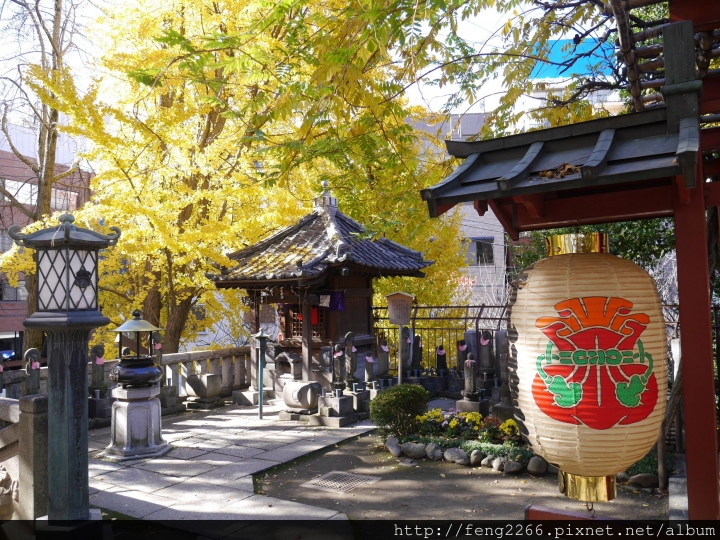 (東京淺草) 跟著熊貓巴士遊淺草-今戶神社/待乳山聖天