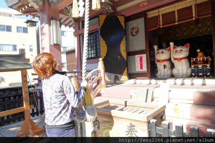(東京淺草) 跟著熊貓巴士遊淺草-今戶神社/待乳山聖天