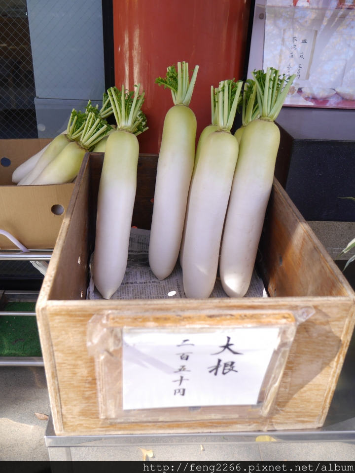 (東京淺草) 跟著熊貓巴士遊淺草-今戶神社/待乳山聖天