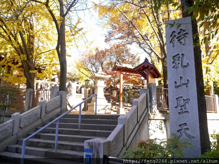 (東京淺草) 跟著熊貓巴士遊淺草-今戶神社/待乳山聖天