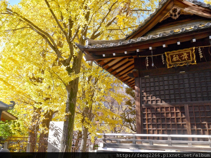 (東京淺草) 跟著熊貓巴士遊淺草-今戶神社/待乳山聖天