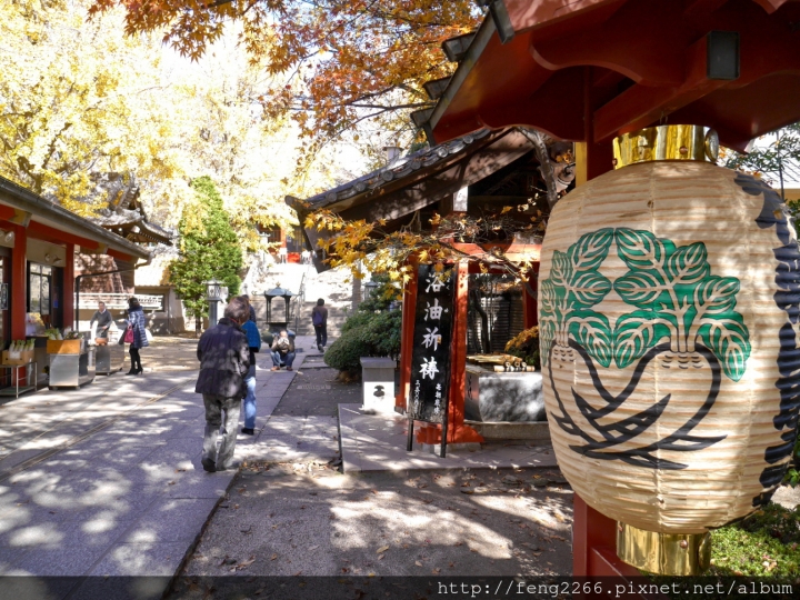 (東京淺草) 跟著熊貓巴士遊淺草-今戶神社/待乳山聖天