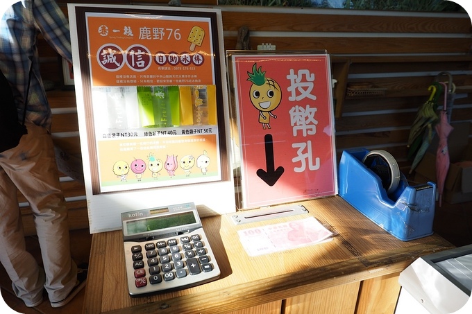 【台東鹿野推薦美食】高台路田媽媽之傅姐風味餐