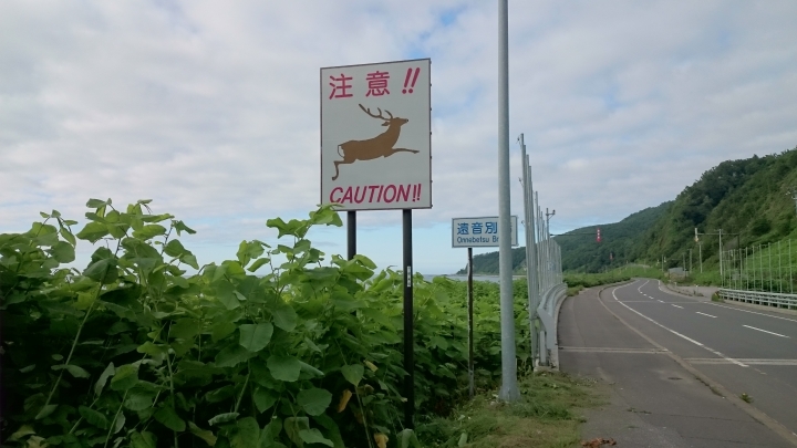 北海道租車與自駕分享(文長)