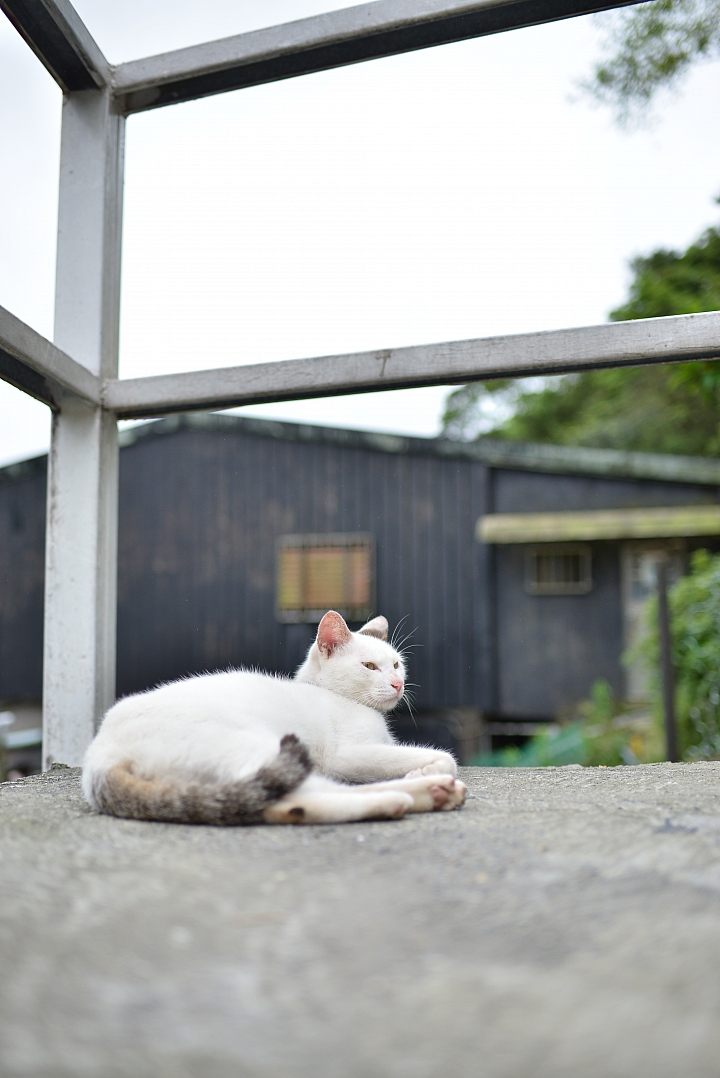 【快被遺忘的大樓】TAMRON 70-200 F2.8 A009