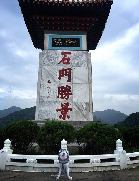 不間斷的訊號,我與天堂Mars的最後旅行