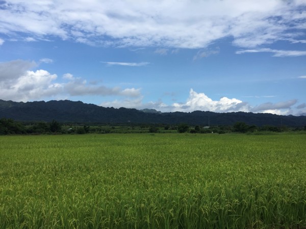 2015/06/02-05 三加一日的小紅東台灣騎行