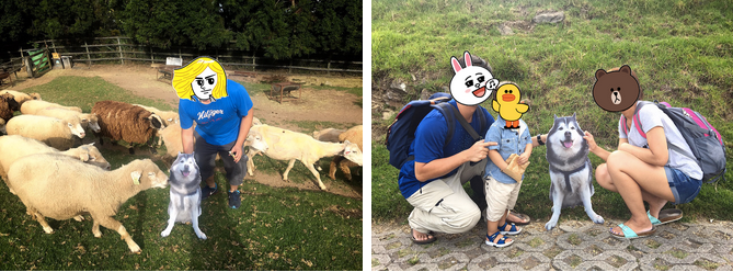 不間斷的訊號,我與天堂Mars的最後旅行