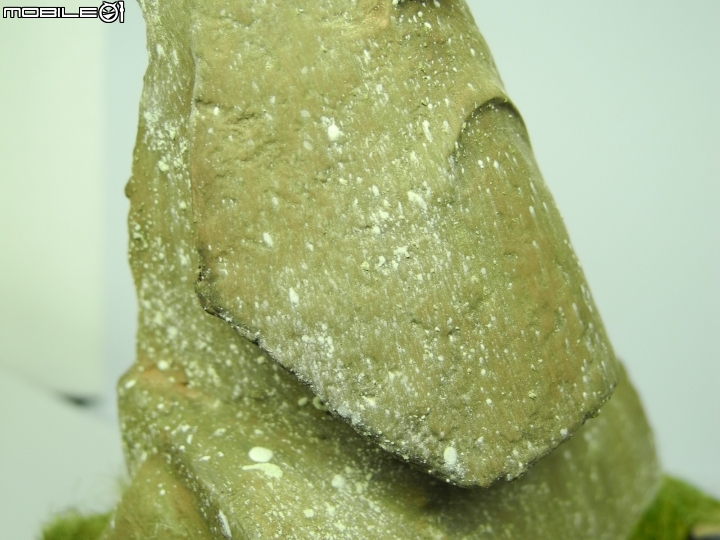 玩味小品 " MOAI "