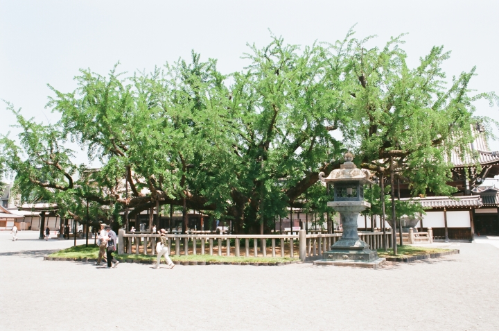 NIKON FM3A 遊關西五都(圖多字多,假文青的小攝界)