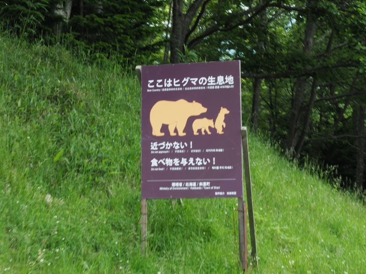 北海道租車與自駕分享(文長)