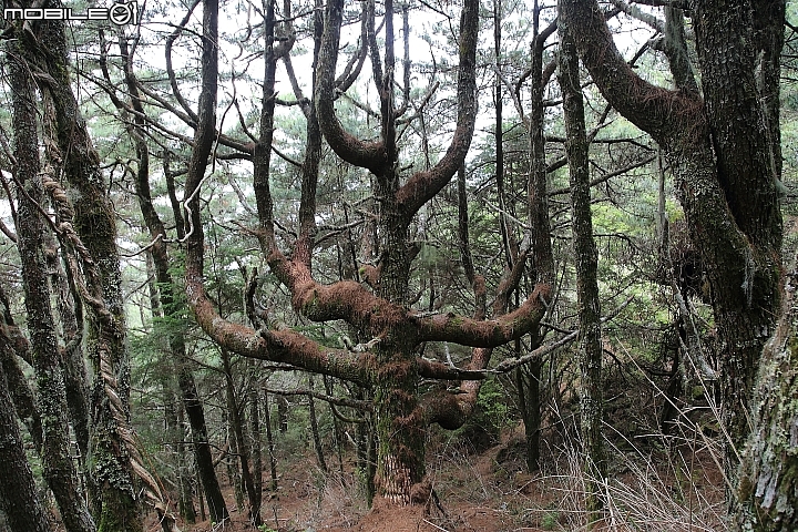 嘉明湖初體驗