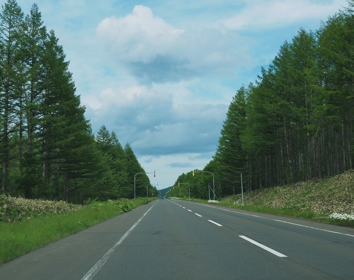 北海道租車與自駕分享(文長)
