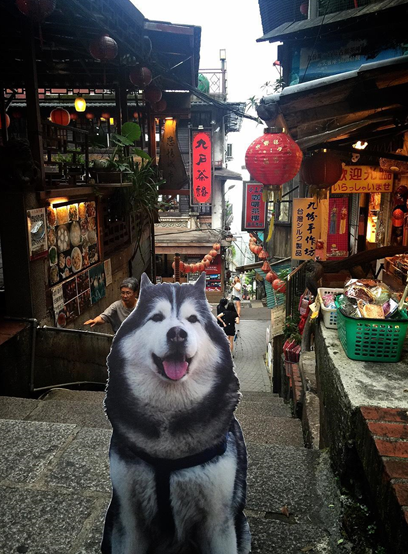 不間斷的訊號,我與天堂Mars的最後旅行