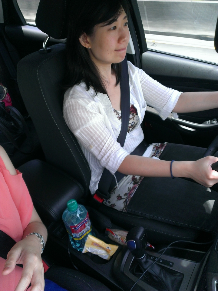 南庄 向天湖 FORD FOCUS試駕遊