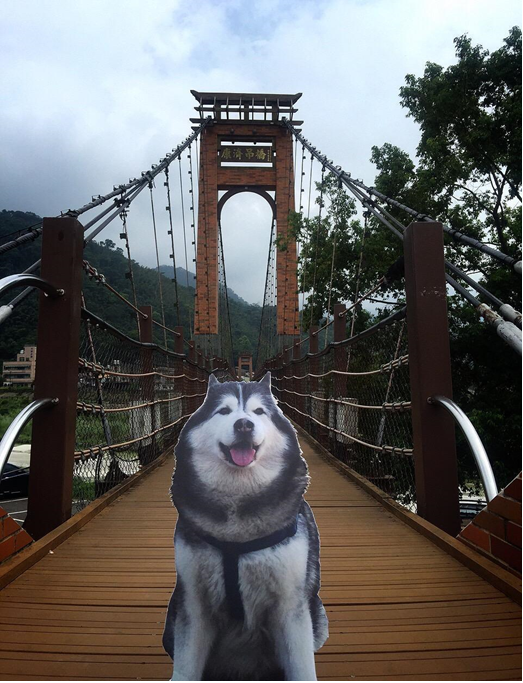 不間斷的訊號,我與天堂Mars的最後旅行