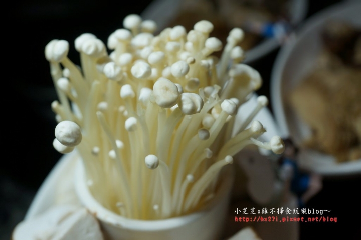 【台北美食】捷運大安站 饕鍋 自釀必吃酸菜白肉鍋 超推薦滷大腸和三層肉必點 二訪