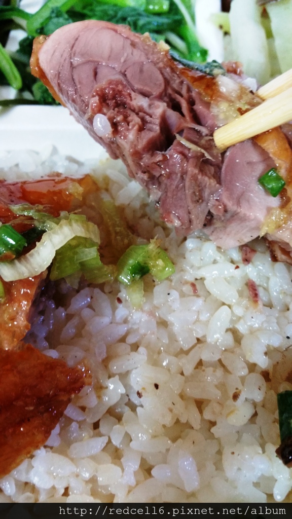 皮脆肉嫩的台東鴻爐鴨庄燒鴨飯品嚐心得分享