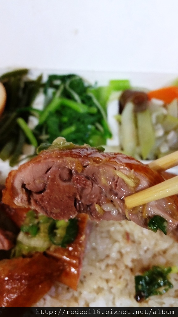 皮脆肉嫩的台東鴻爐鴨庄燒鴨飯品嚐心得分享