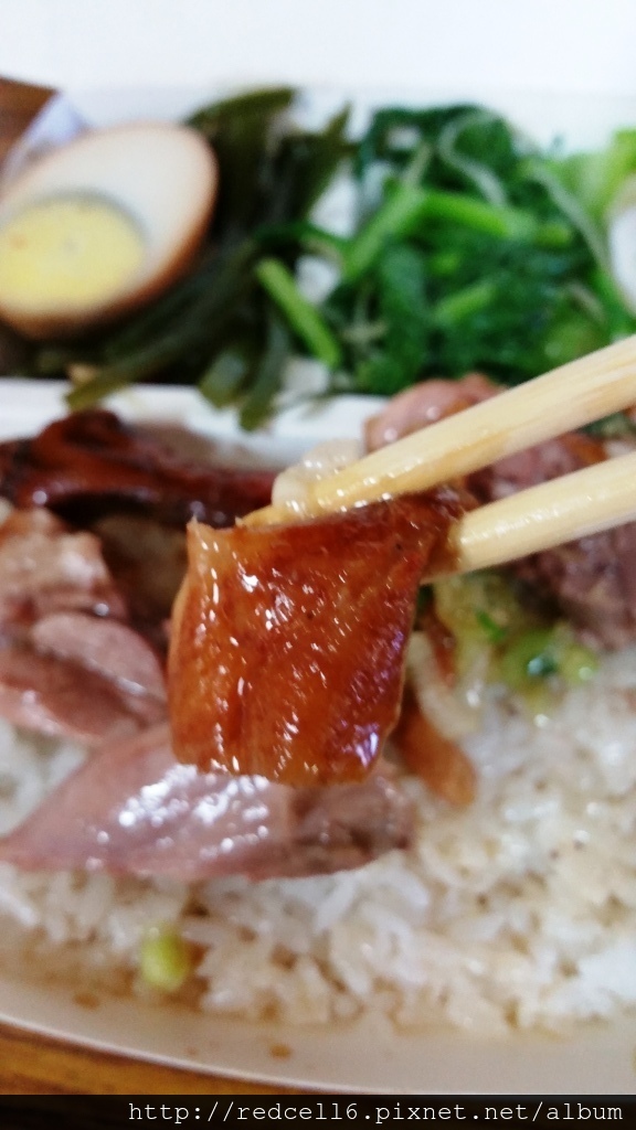 皮脆肉嫩的台東鴻爐鴨庄燒鴨飯品嚐心得分享
