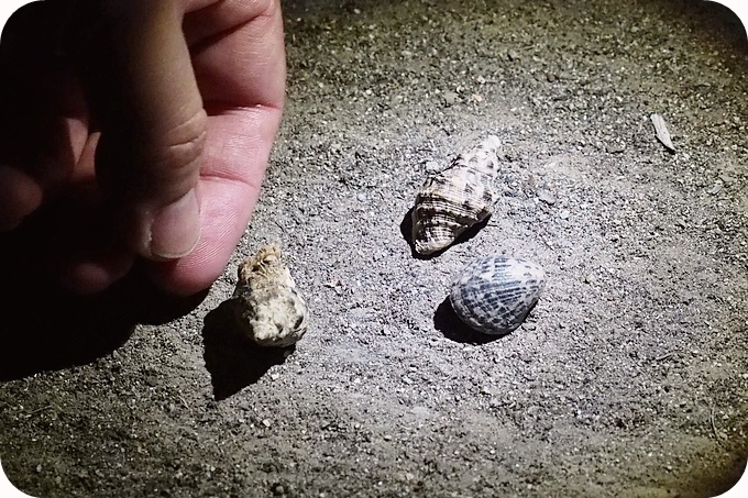 【台東遛小孩景點】夜訪小野柳,幫寄居蟹換殼,賞太平洋,住海邊度假小別墅