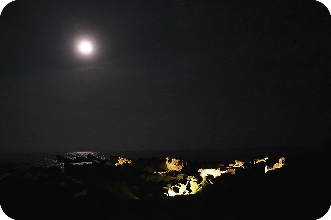 【台東遛小孩景點】夜訪小野柳,幫寄居蟹換殼,賞太平洋,住海邊度假小別墅