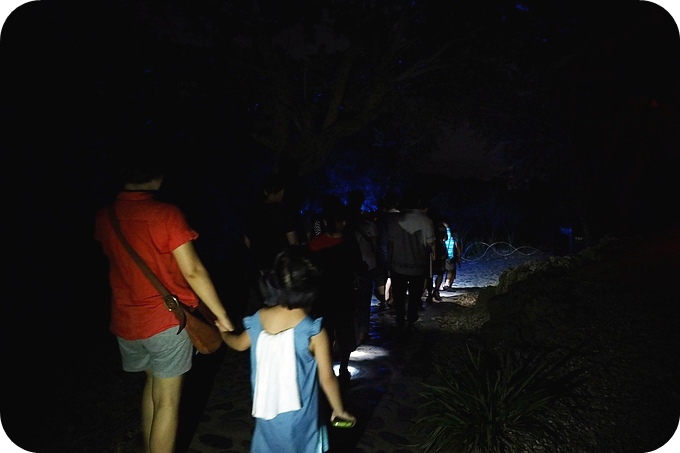 【台東遛小孩景點】夜訪小野柳,幫寄居蟹換殼,賞太平洋,住海邊度假小別墅