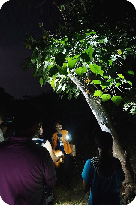 【台東遛小孩景點】夜訪小野柳,幫寄居蟹換殼,賞太平洋,住海邊度假小別墅