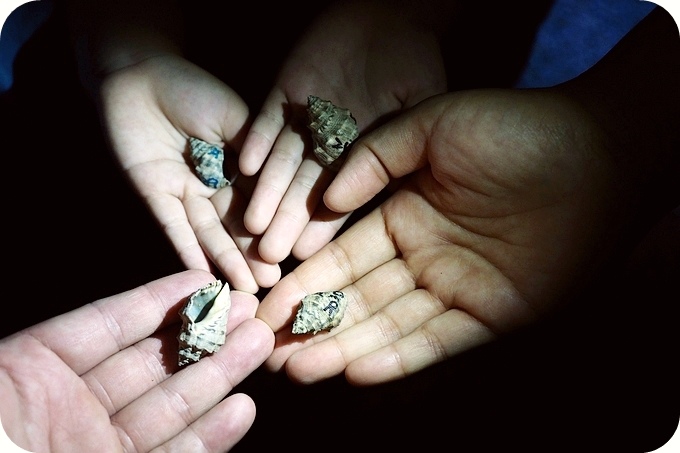 【台東遛小孩景點】夜訪小野柳,幫寄居蟹換殼,賞太平洋,住海邊度假小別墅