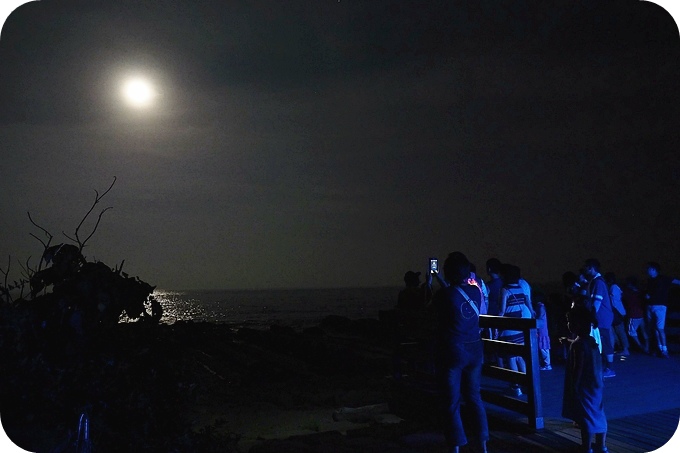 【台東遛小孩景點】夜訪小野柳,幫寄居蟹換殼,賞太平洋,住海邊度假小別墅