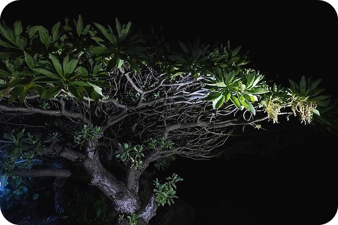 【台東遛小孩景點】夜訪小野柳,幫寄居蟹換殼,賞太平洋,住海邊度假小別墅