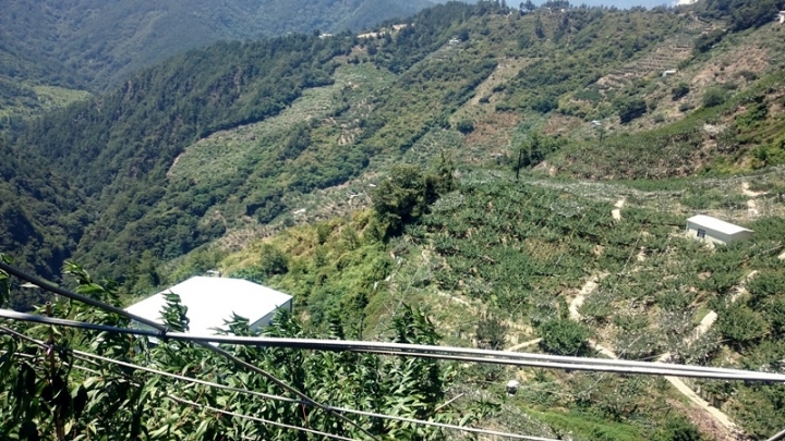 肥吱吱與綠胖胖之來去公路最高點 – 武嶺(一日來回)(重機小旅行番外篇)