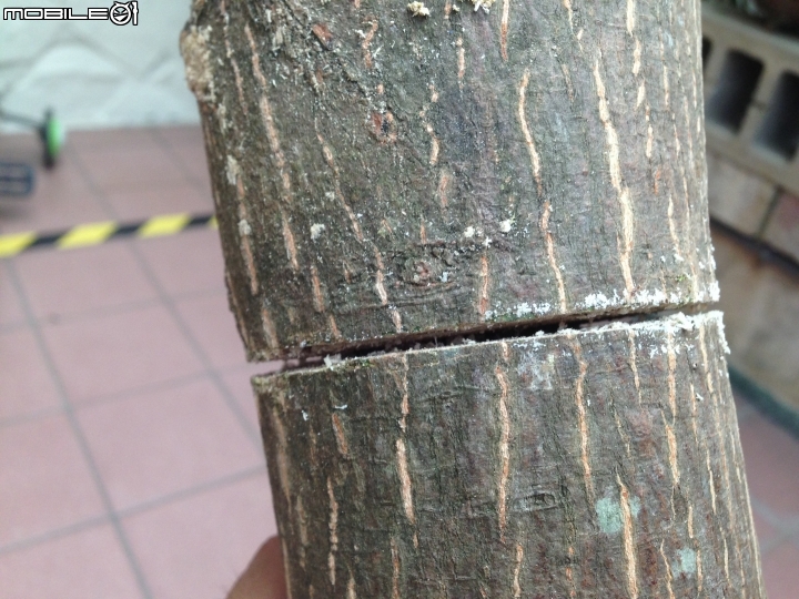 DIY~ 木作 摩艾石像門擋 ! (蘇迪勒颱風下的產物)