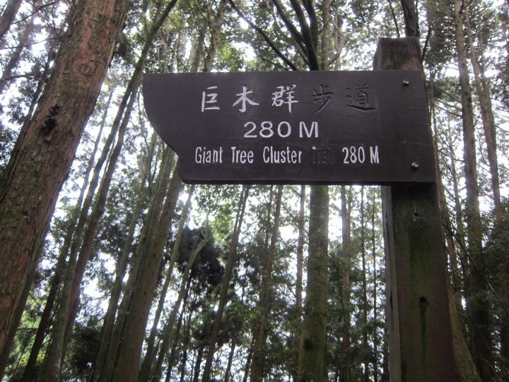 Ford Kuga 24小時免費試駕~觀霧避暑