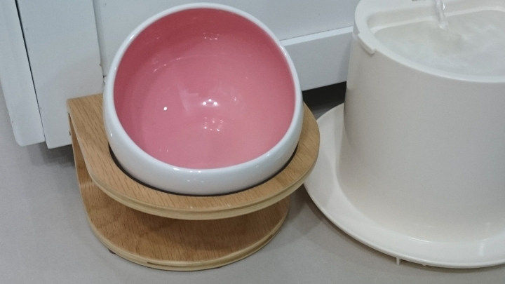 【開箱】貓老大阿諾~MyZoo時空膠囊碗