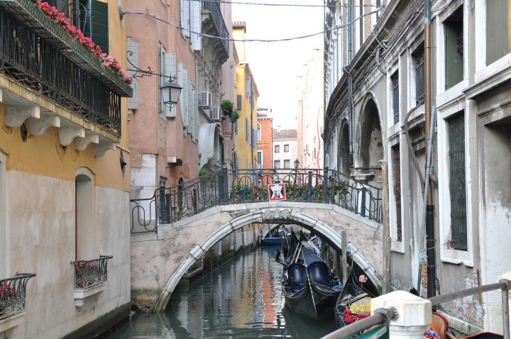 2015義大利格蘭Italy12天純義之旅,圖多慎入