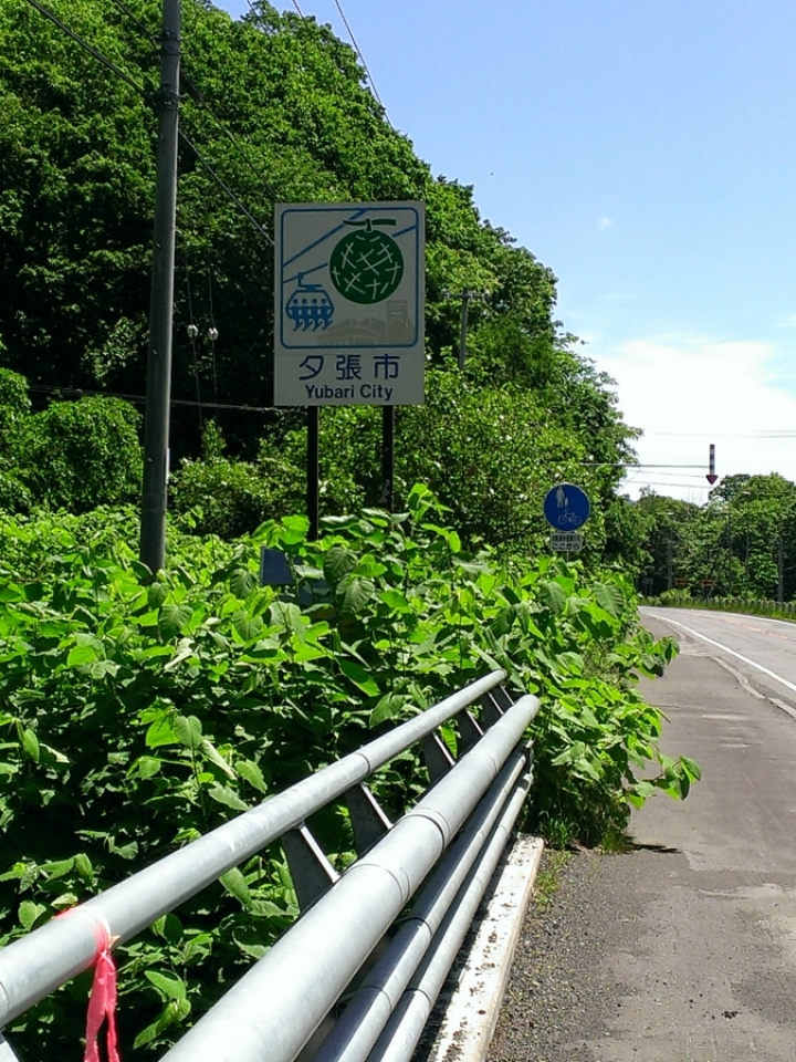 北海道單車旅行