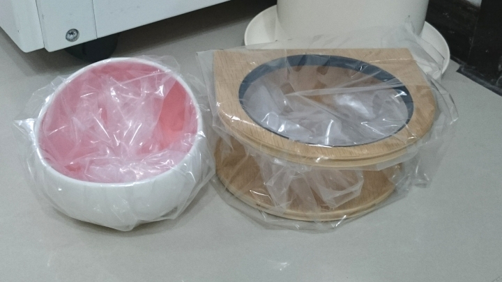 【開箱】貓老大阿諾~MyZoo時空膠囊碗