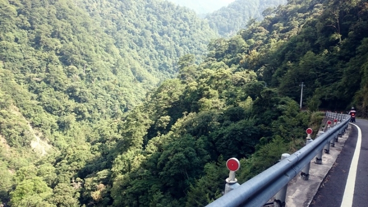 肥吱吱與綠胖胖之來去公路最高點 – 武嶺(一日來回)(重機小旅行番外篇)