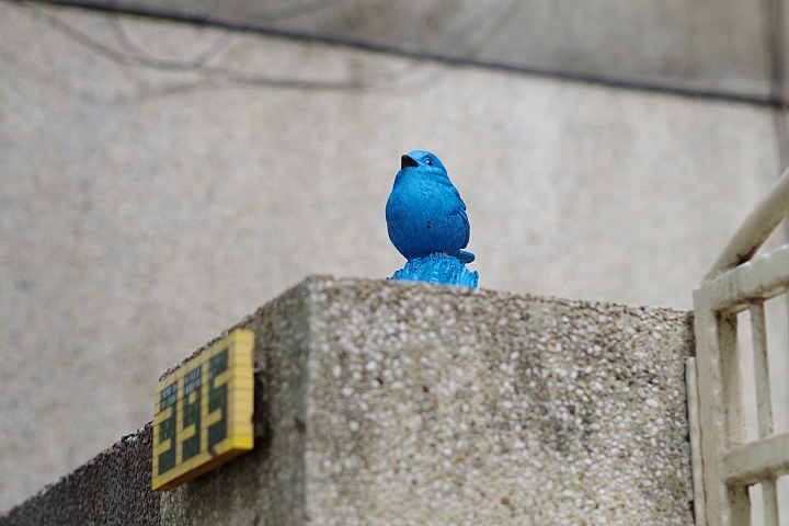 樂趣不設限 Pentax K-S2