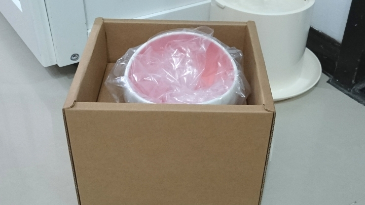 【開箱】貓老大阿諾~MyZoo時空膠囊碗