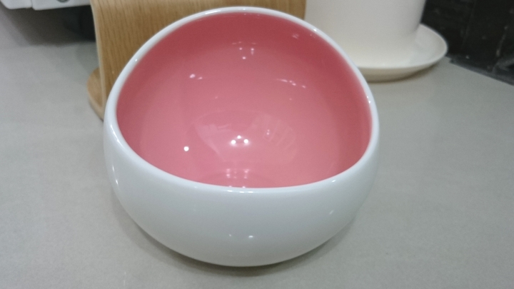【開箱】貓老大阿諾~MyZoo時空膠囊碗