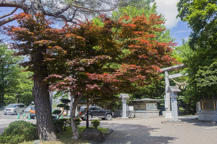 北海道單車旅行