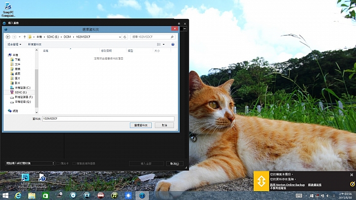 我的CAPTURE ONE 鬼打牆