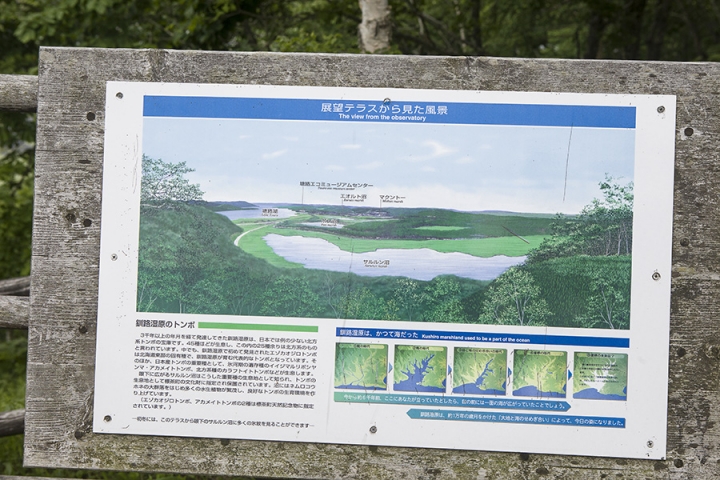 北海道單車旅行