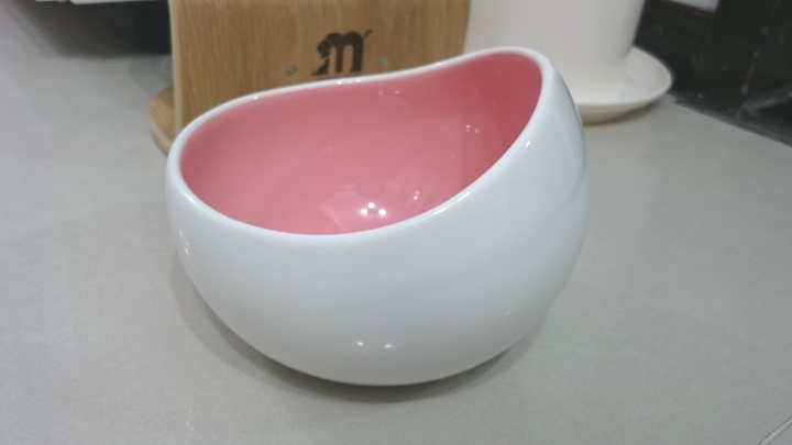 【開箱】貓老大阿諾~MyZoo時空膠囊碗
