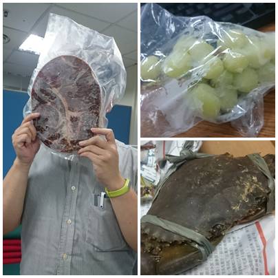 LEPA利豹 BTS02 神器組合,籠中鳥的片刻自由