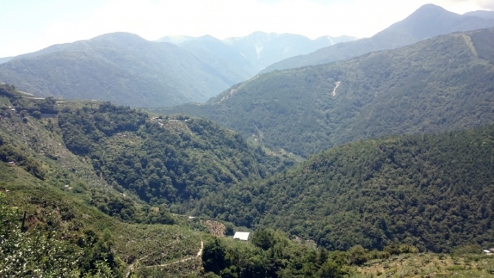肥吱吱與綠胖胖之來去公路最高點 – 武嶺(一日來回)(重機小旅行番外篇)