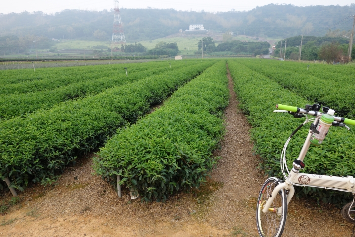2015年大佛杯,139線巡田水之旅,